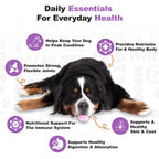 Dog Multivitamin product image 4