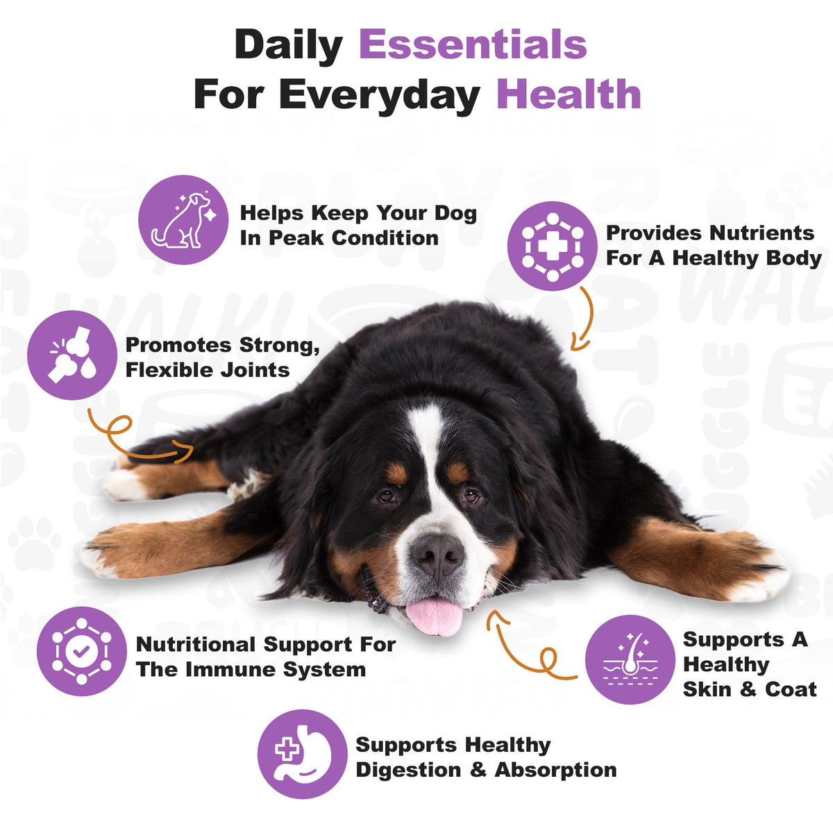 Dog Multivitamin product image 4