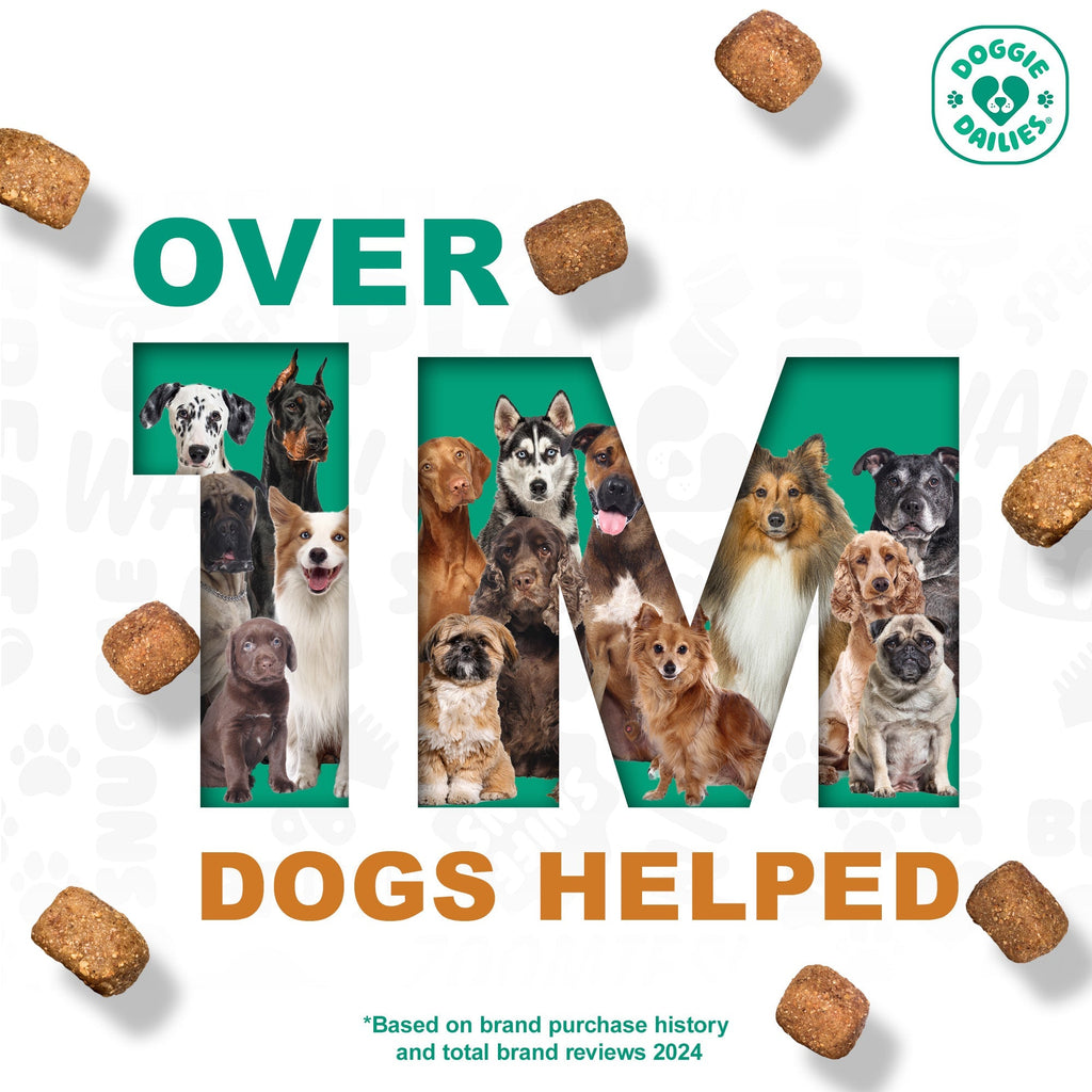 Dog Multivitamin product image 7