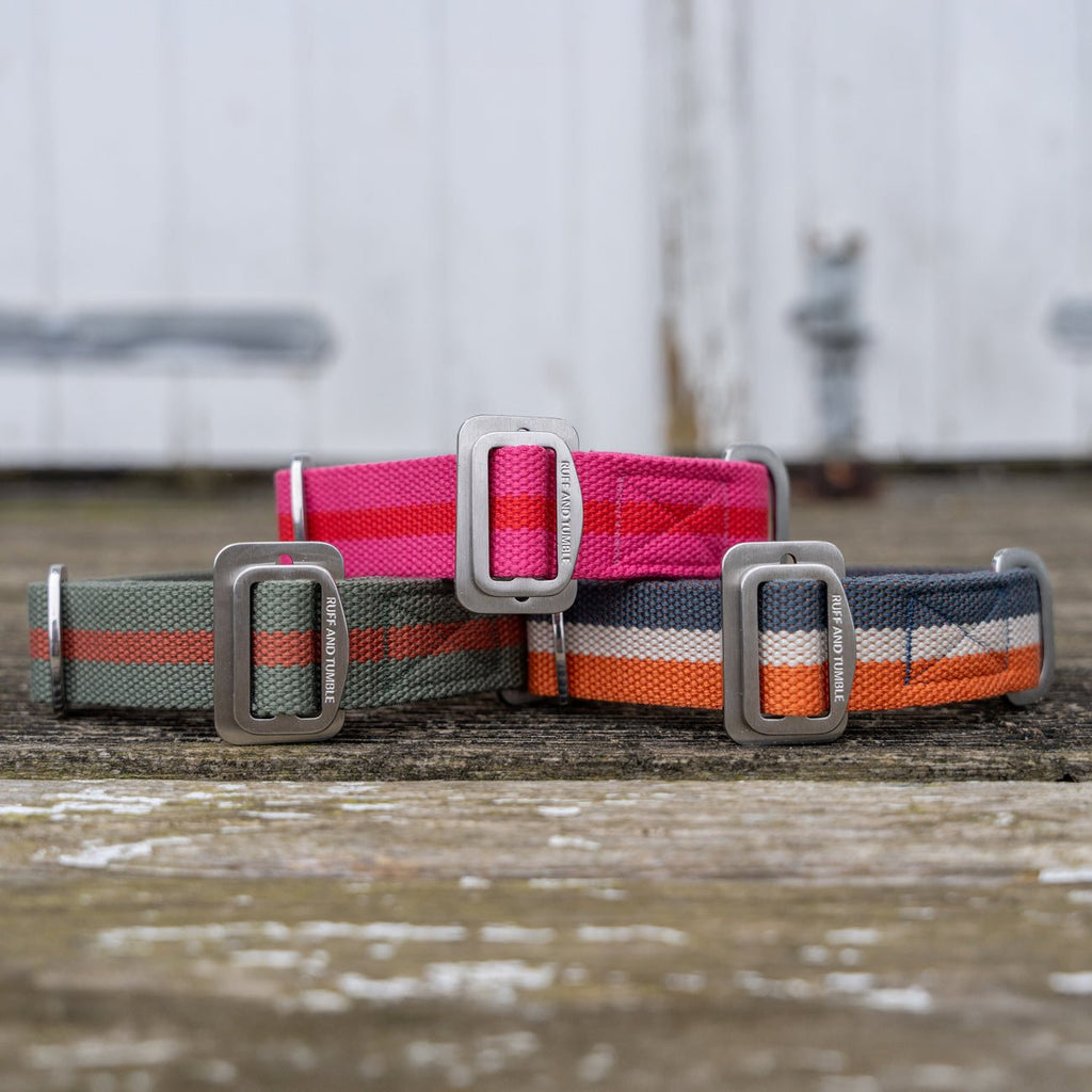 Dog Collar product image 6