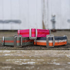 Dog Collar product image 6