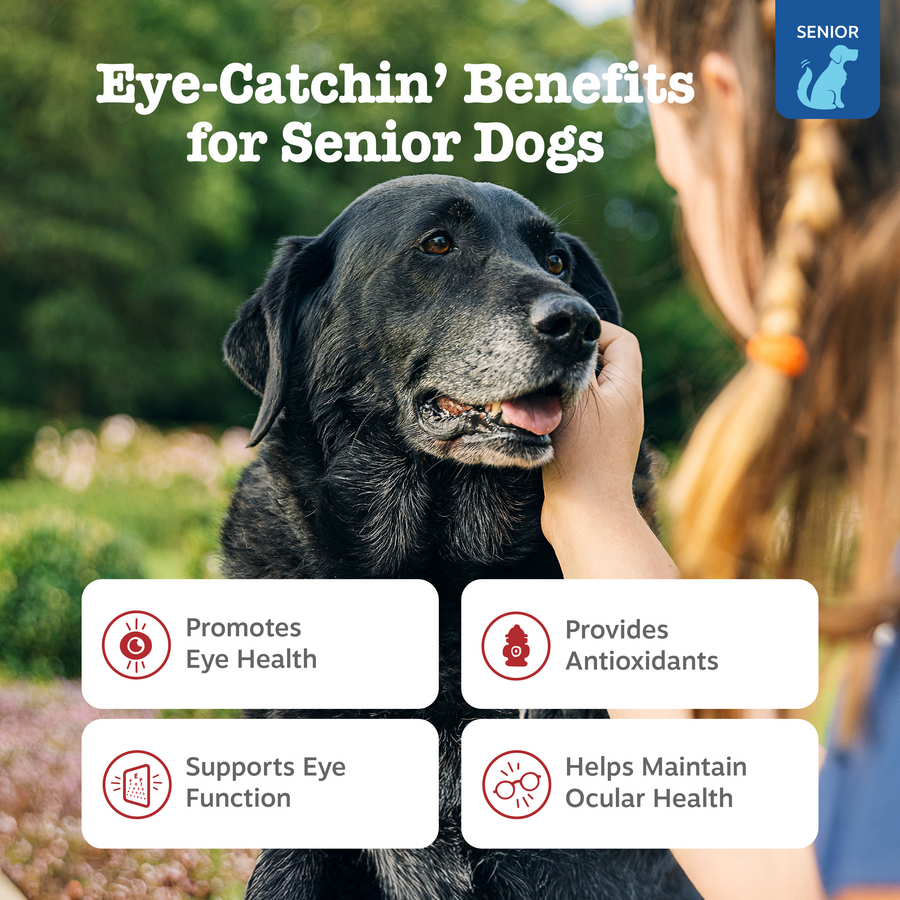 Dog Eye Supplement product image 2