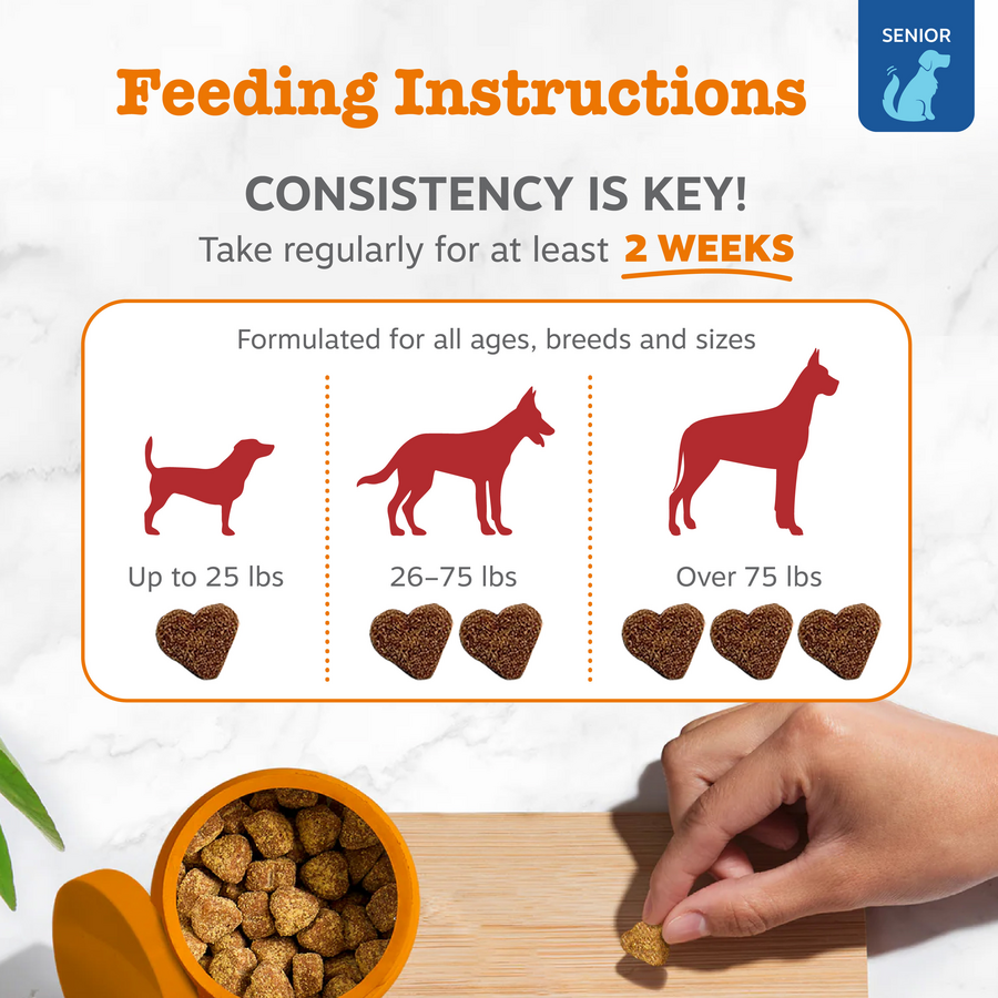 Dog Eye Supplement product image 4
