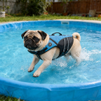 Dog Life Vest product image 2