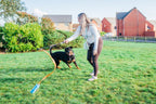 Dog Flirt Pole product image 2