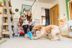 Dog Flirt Pole product image 3
