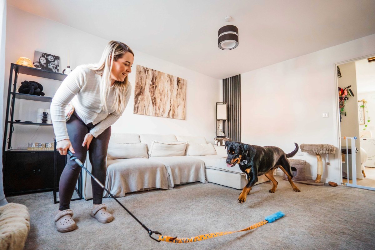 Dog Flirt Pole product image 4