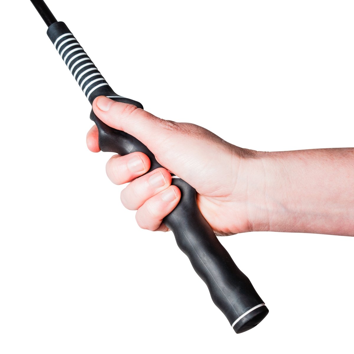 Dog Flirt Pole product image 5
