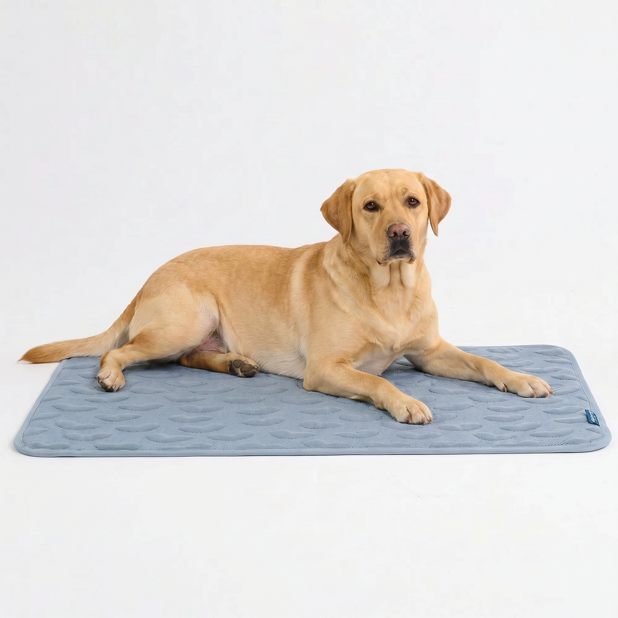Breathable Cooling Dog Mat product image 75