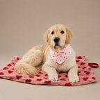 Dog Travel Blanket product image 1