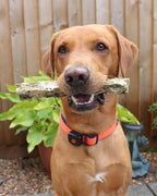 Fish Skin Dog Treats product image 2