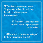 Fish Skin Twists - Try For £1 - Skipper's Pet Products