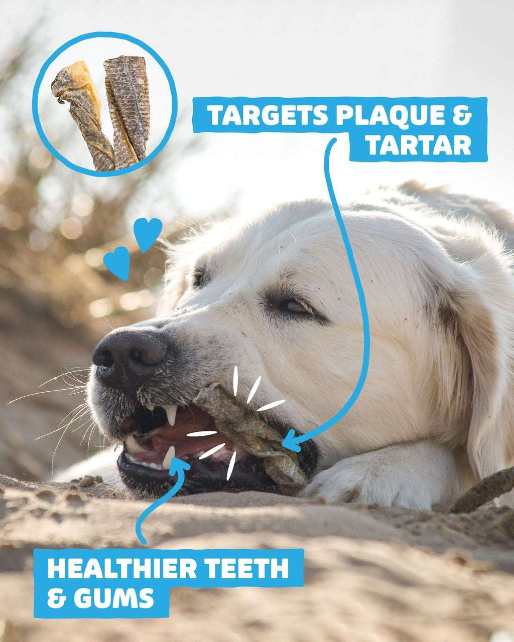 Fish Skin Twists - Skipper's Pet Products