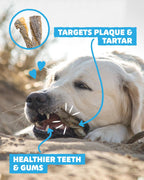 Fish Skin Twists - Skipper's Pet Products