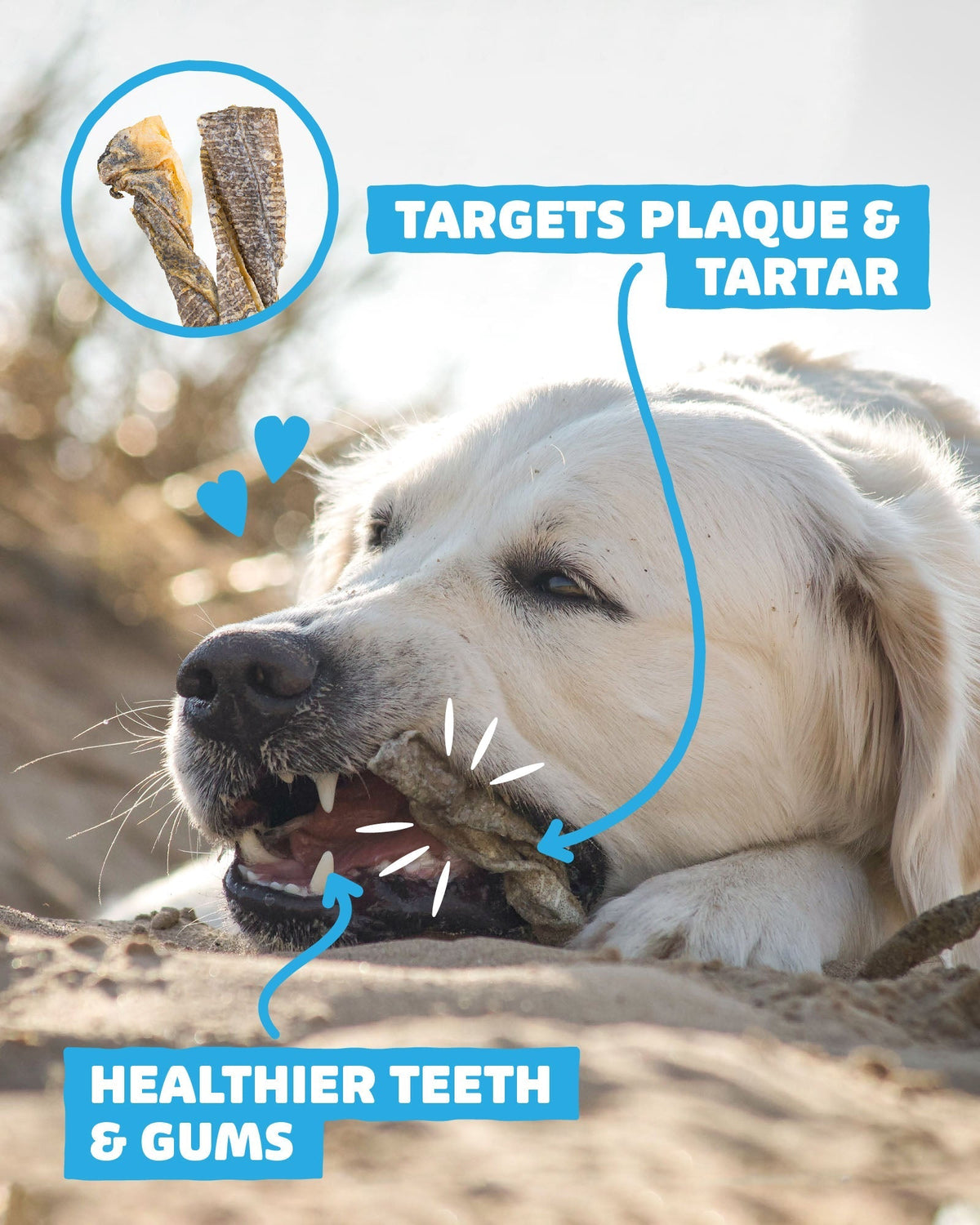 Fish Skin Twists - Skipper's Pet Products