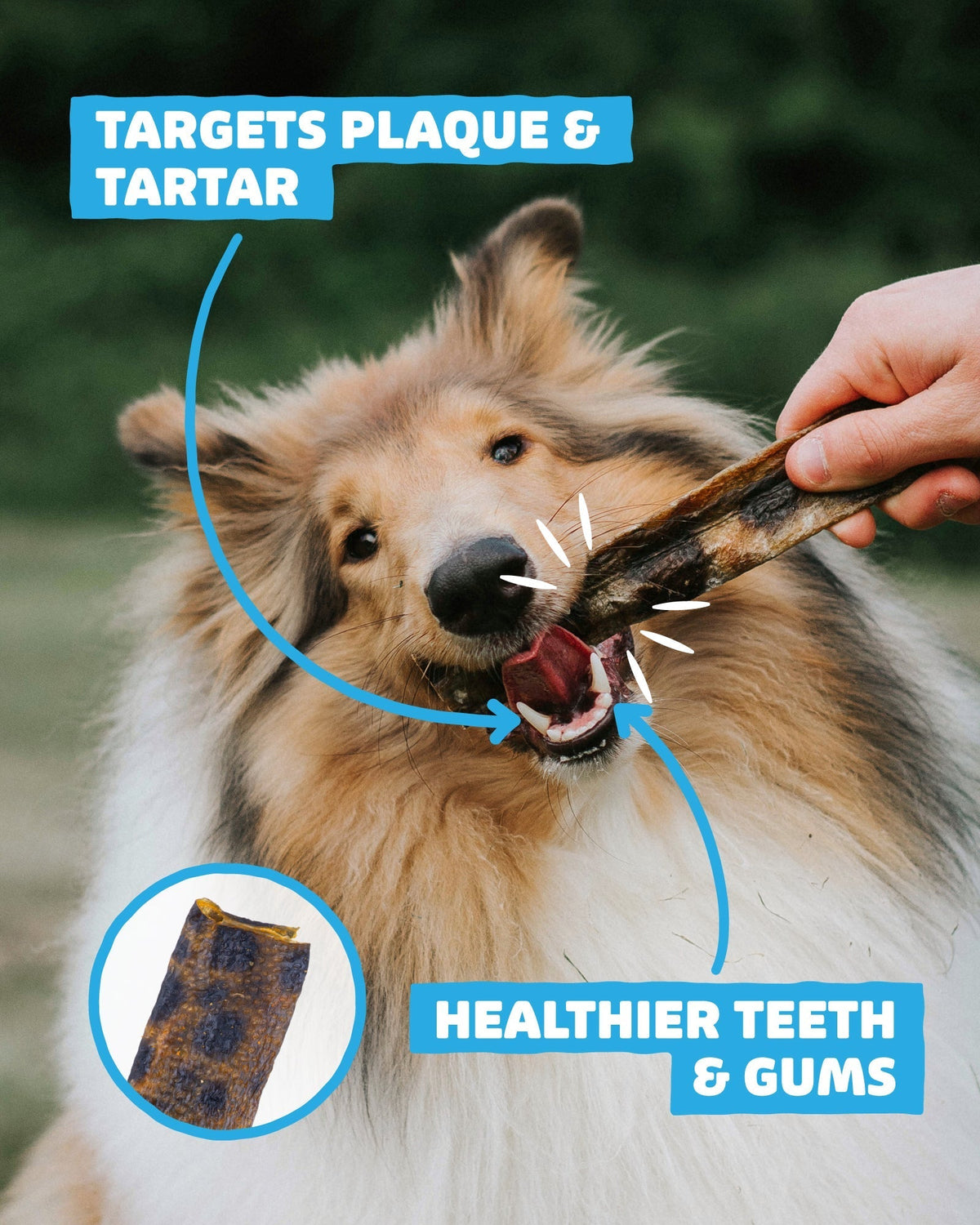 Wolf Fish Flatties - Skipper's Pet Products