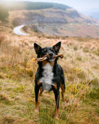 Dog Chew product image 2