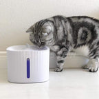Filtered Cat Water Fountain product image 3