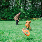 Dog Frisbee Toy product image 6