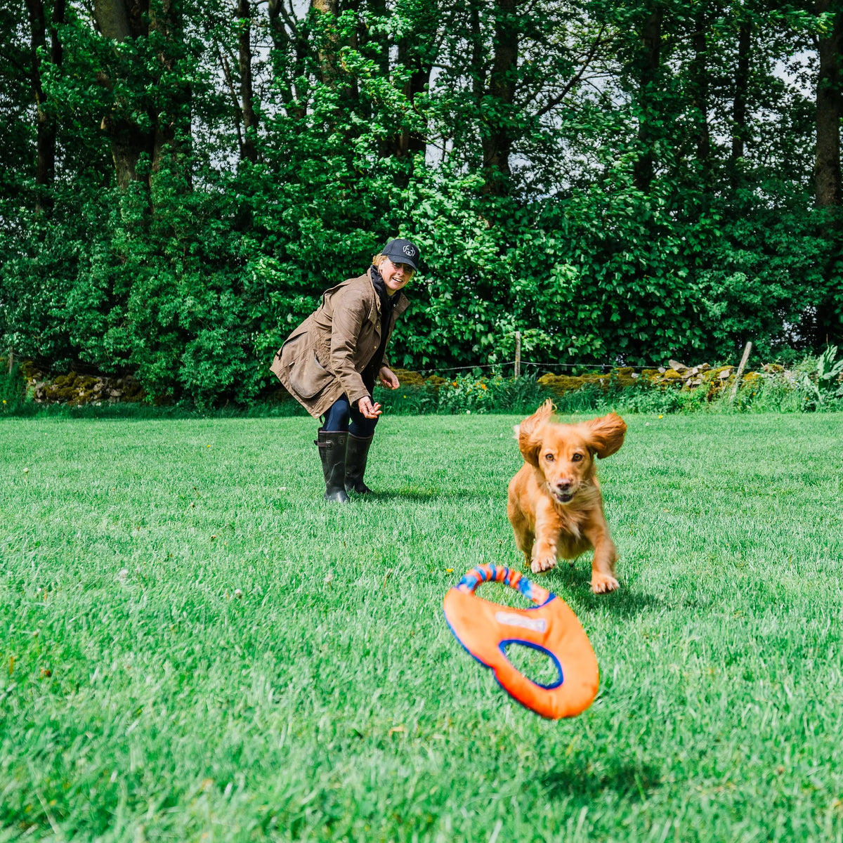 Dog Frisbee Toy product image 6