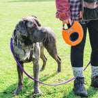 Dog Frisbee Toy product image 7
