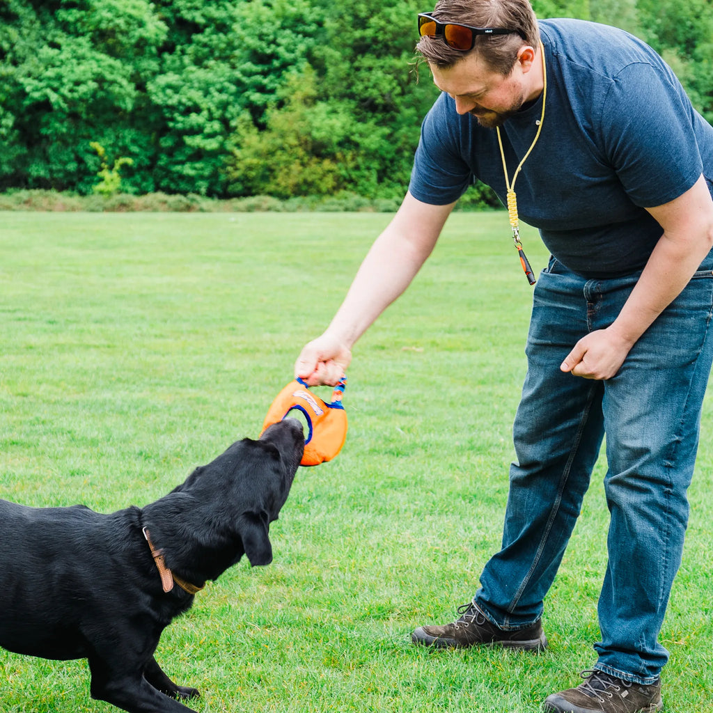 Dog Frisbee Toy product image 8