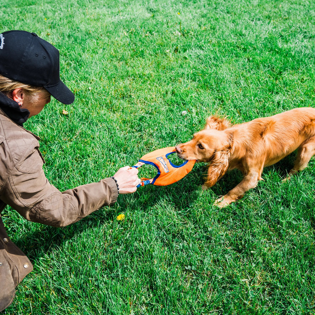 Dog Frisbee Toy product image 9