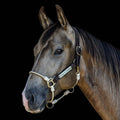 Rope Horse Halter product image 5