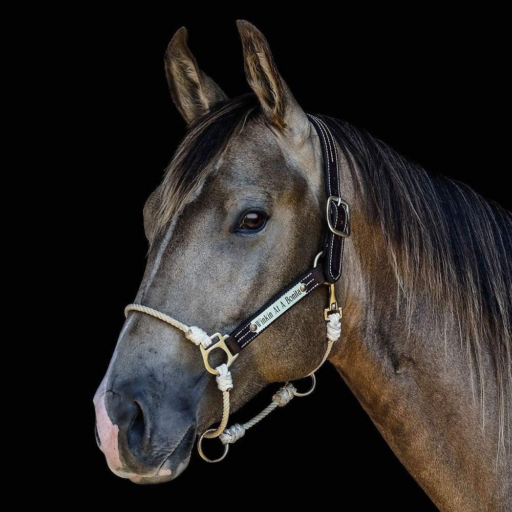 Rope Horse Halter product image 5