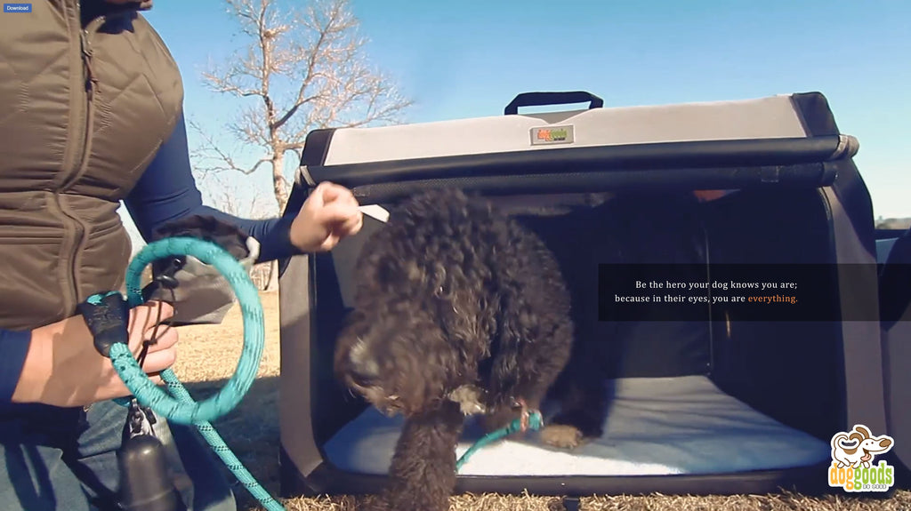 Large black dog stepping out of a DogGoods foldable crate onto a soft fleece mat. Owner holding a blue leash, preparing for an outdoor adventure. Inspirational message overlay about being a hero to your dog.