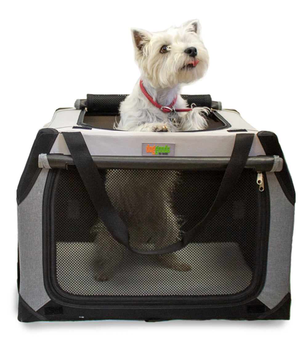 Small white dog sitting inside a DogGoods foldable crate, peeking out from the top opening. The crate features mesh ventilation, a soft fleece mat, and sturdy carrying straps.