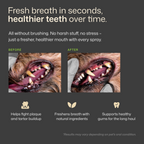 Pet Dental Spray product image 5
