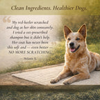 Organic Lemongrass and Hemp Dog Shampoo product image 8