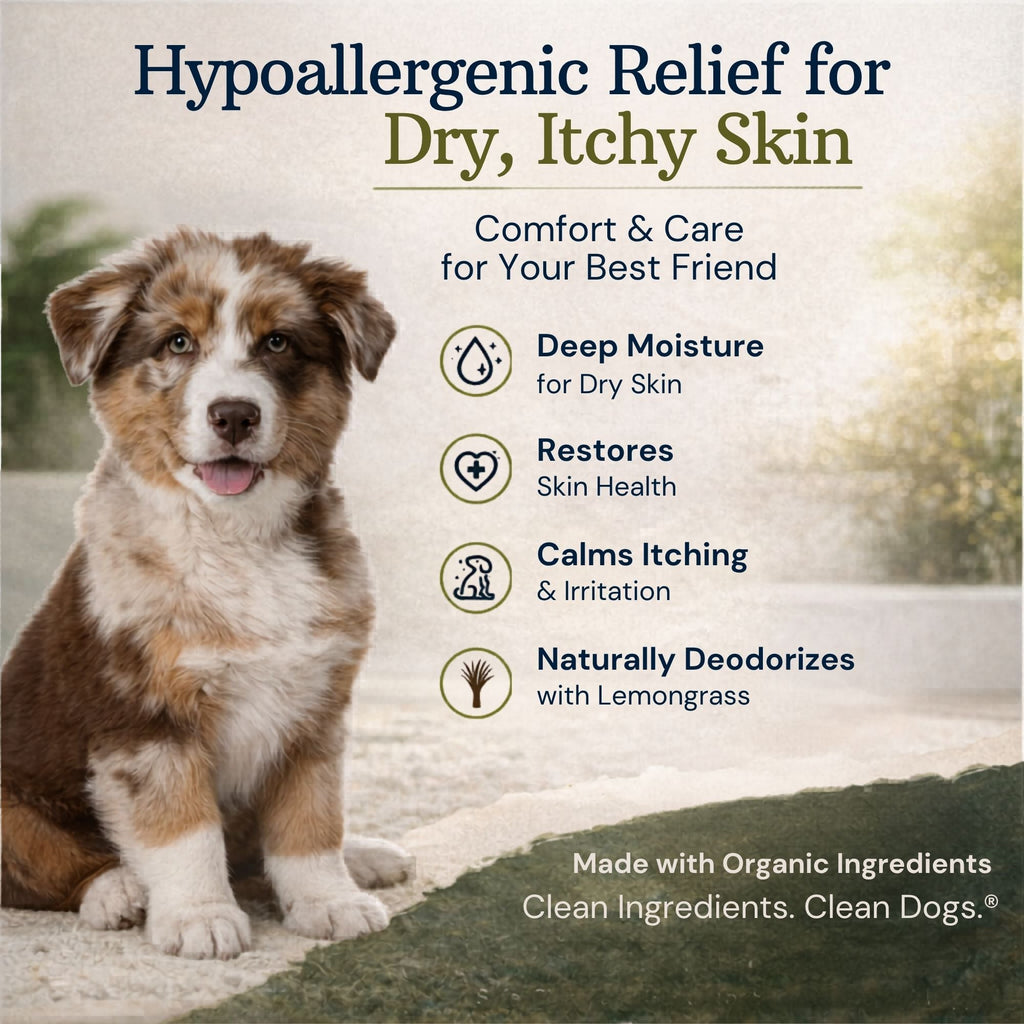 Organic Lemongrass and Hemp Dog Shampoo product image 9