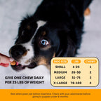 Dog Allergy Support Soft Chew Pack product image 5