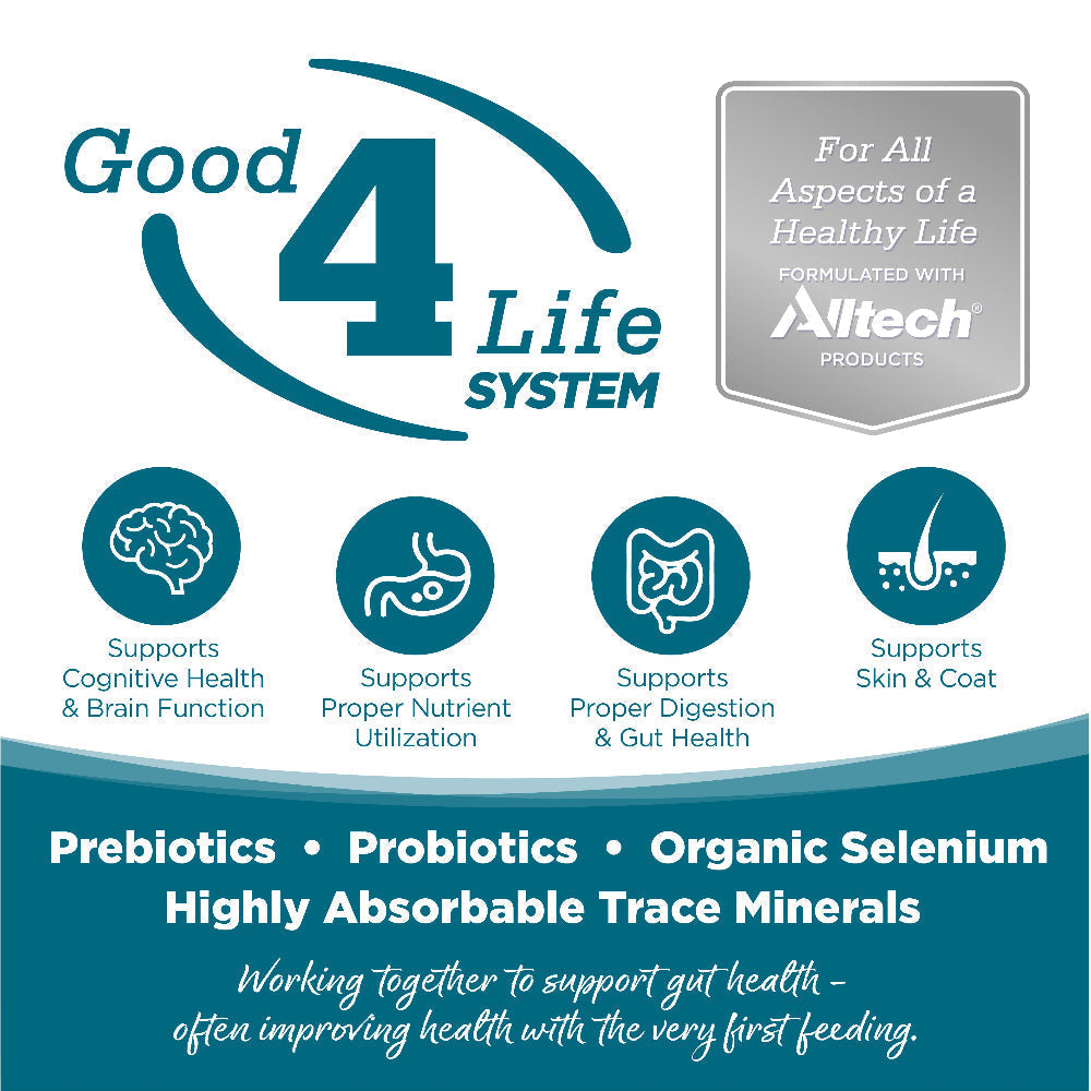 Good 4 Life: Our proprietary Good 4 Life system includes 4 key ingredients that work together to support gut health and the well-being of your pet.
