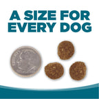 A SIZE FOR EVERY DOG - kibble pieces beside a dime for size comparison