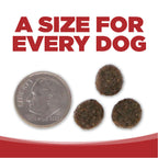 Grain Free Dog Food product image 9