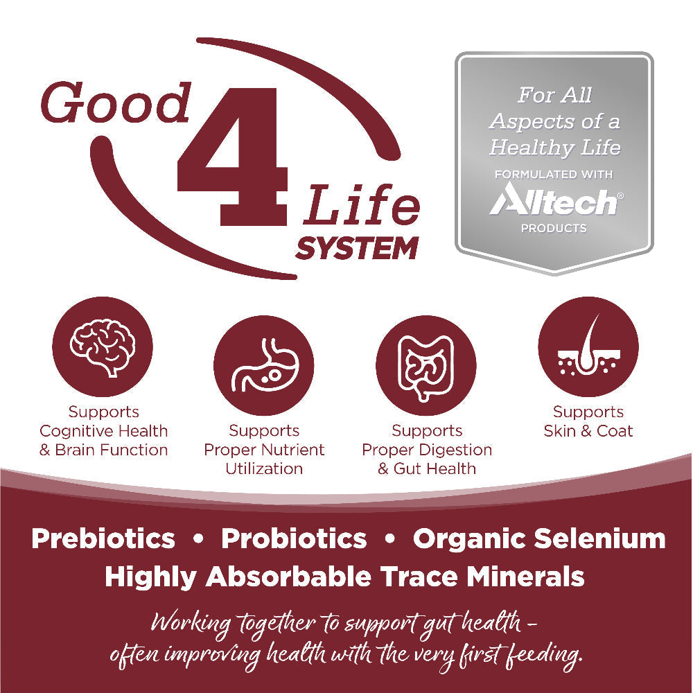 Good 4 Life: Our proprietary Good 4 Life system includes 4 key ingredients that work together to support gut health and the well-being of your pet.