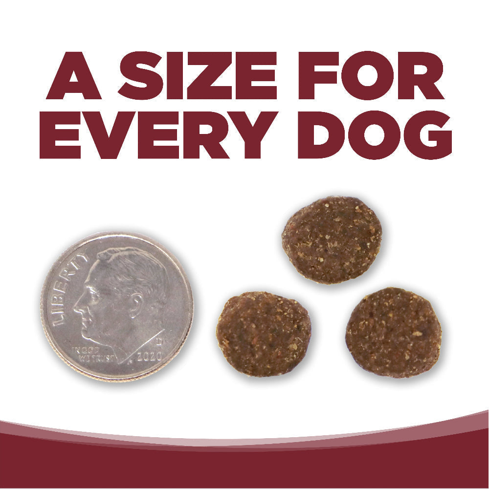 A SIZE FOR EVERY DOG - kibble pieces beside a dime for size comparison
