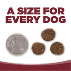 A SIZE FOR EVERY DOG - kibble pieces beside a dime for size comparison