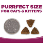 PURRFECT SIZE FOR CATS & KITTENS - kibble pieces beside a dime for size comparison