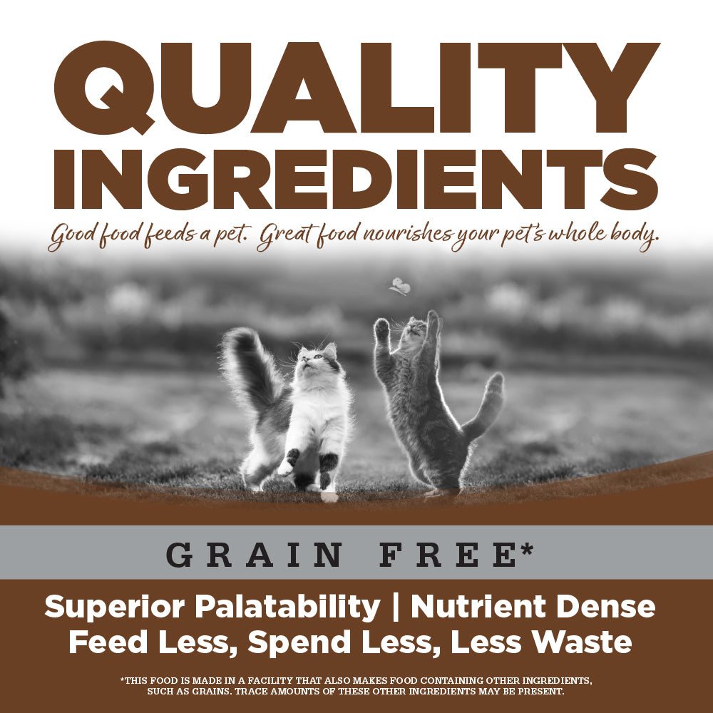 Wet Cat Food product image 5