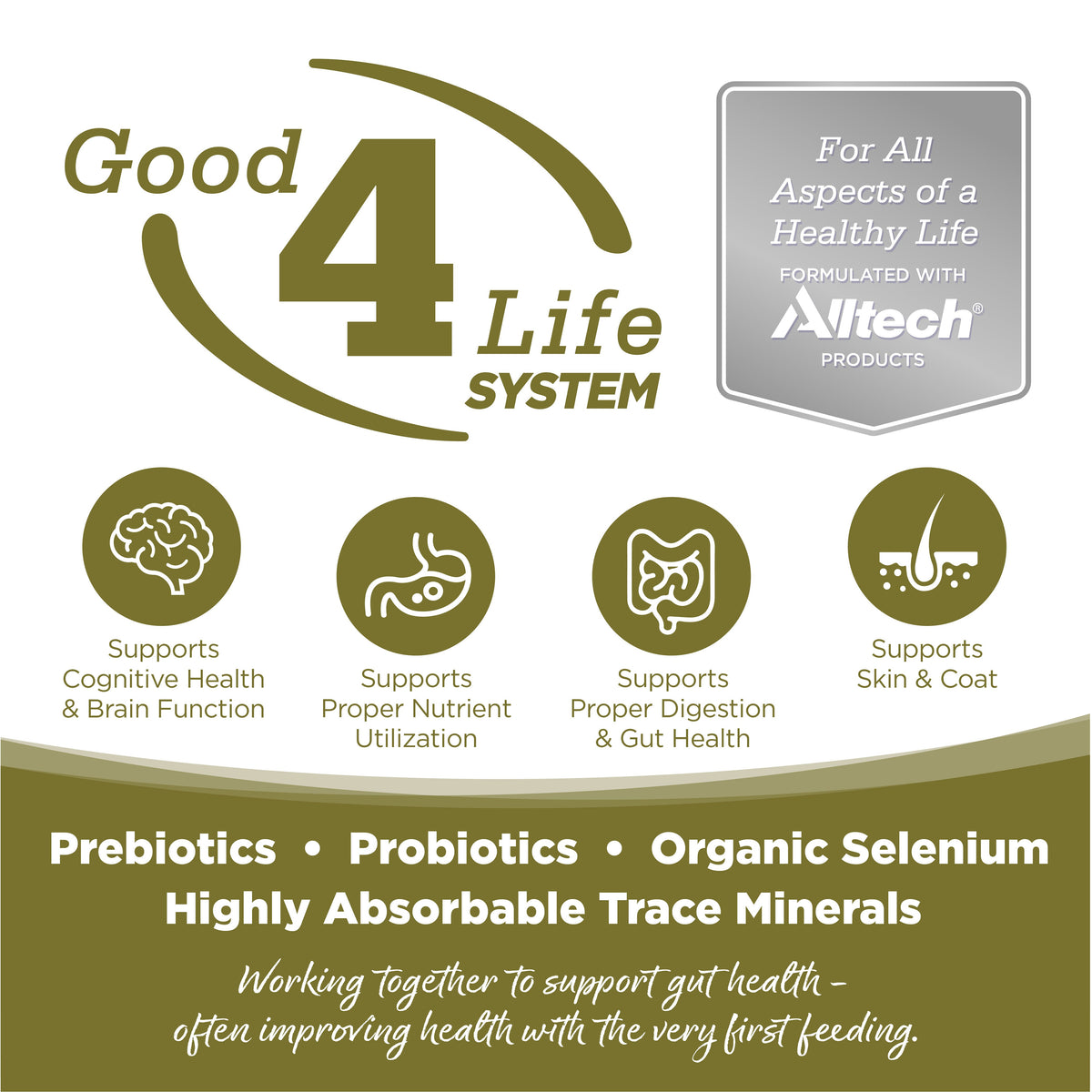 Grain Free Dog Food product image 3