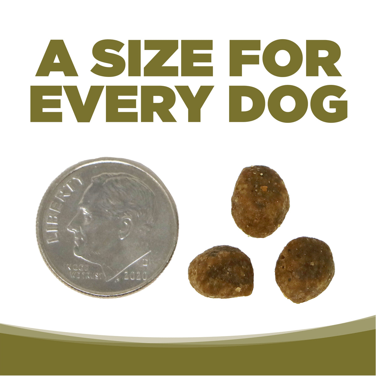 Grain Free Dog Food product image 9