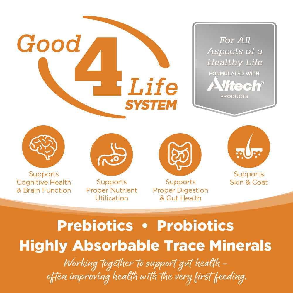 Advertisement for Good 4 Life System with Altech branding and health benefits listed.
