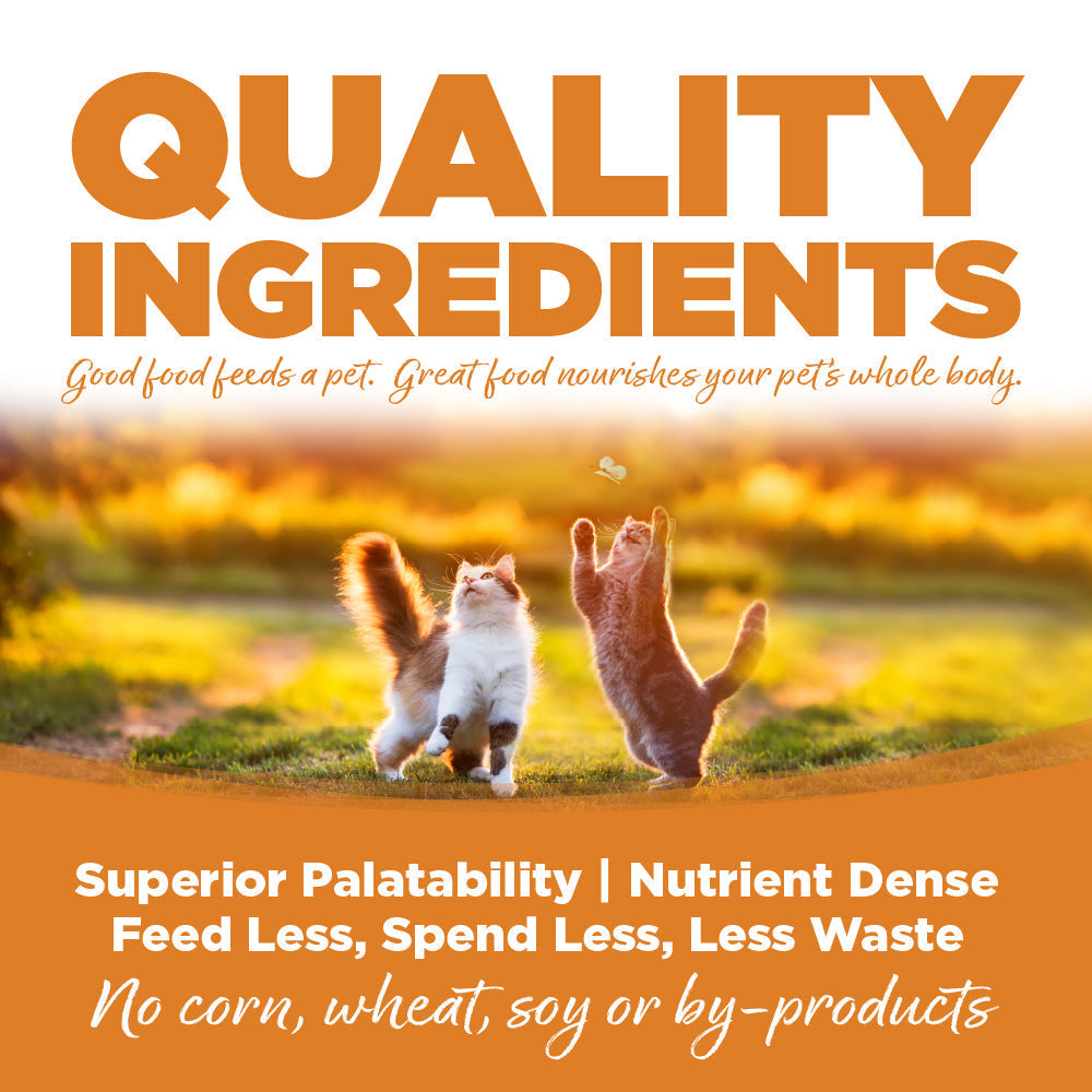 Quality Ingredients - Good food feeds a pet. Great food nourishes your pet's whole body.