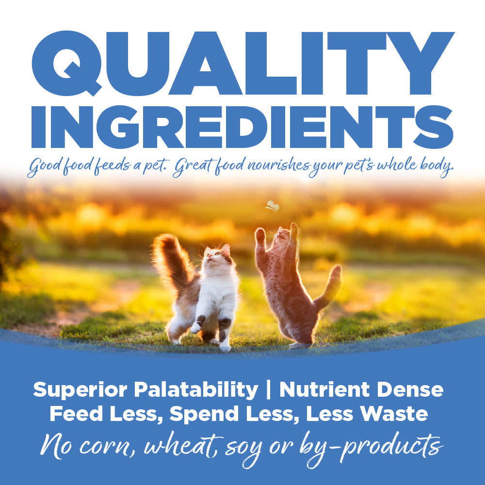 Wet Cat Food product image 5