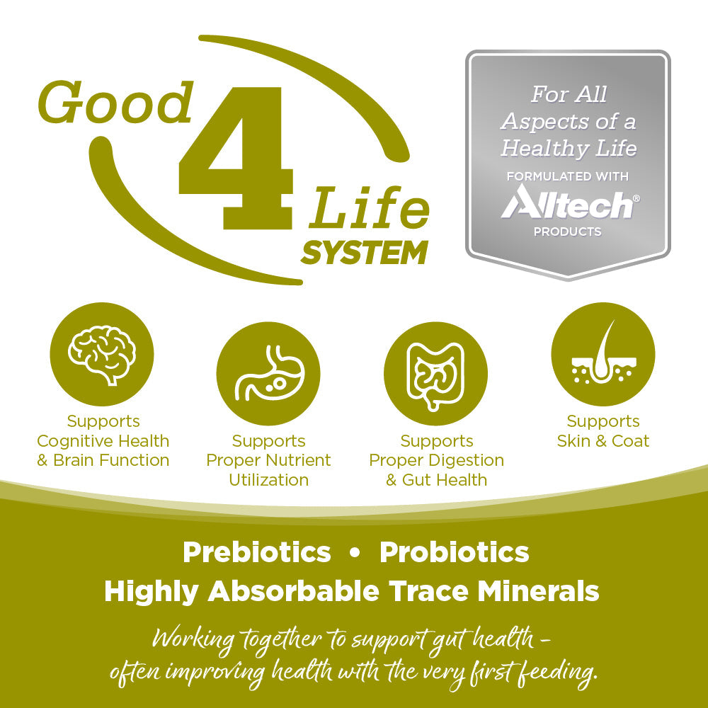 Grain Free Cat Food product image 4