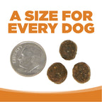 Grain Free Dog Food product image 9